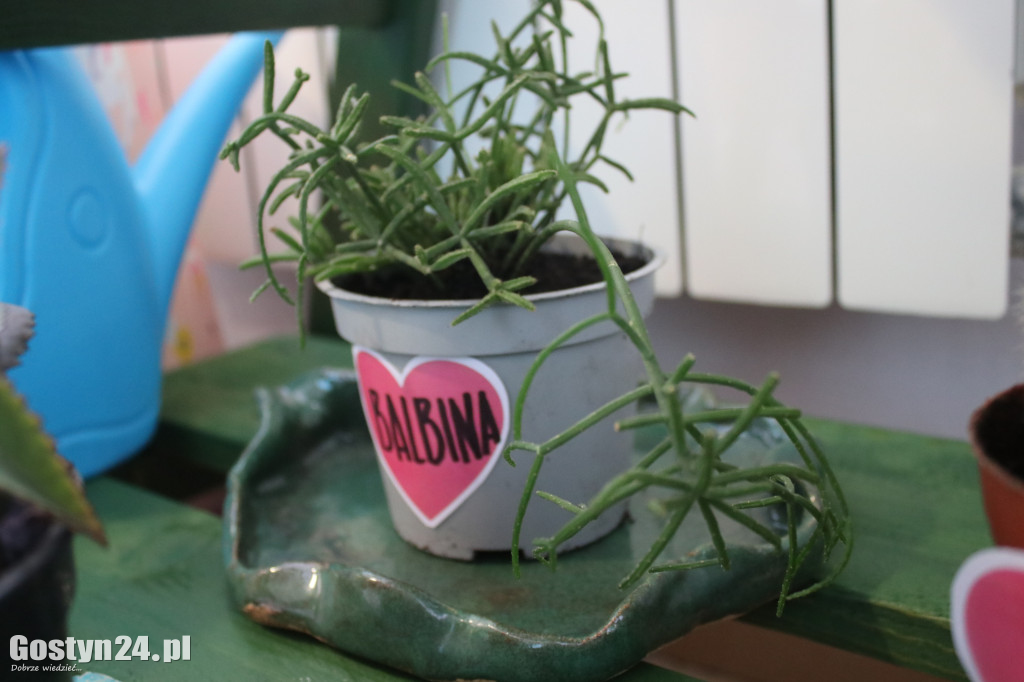 Zielona Strefa w gostyńskim Hutniku