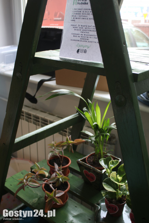 Zielona Strefa w gostyńskim Hutniku