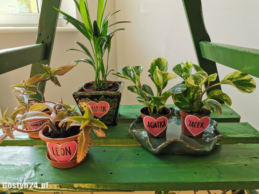 Zielona Strefa w gostyńskim Hutniku