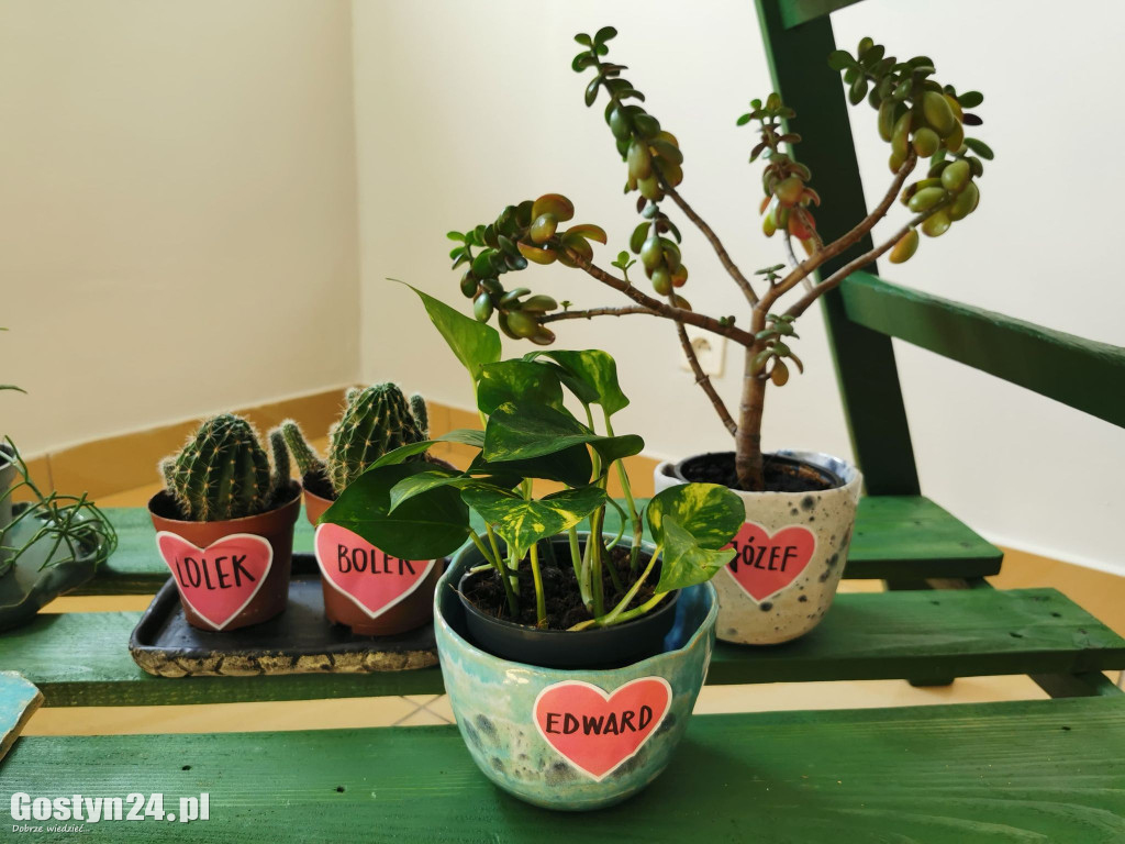 Zielona Strefa w gostyńskim Hutniku