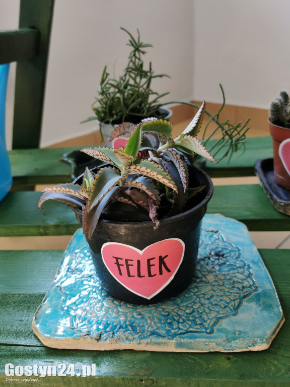 Zielona Strefa w gostyńskim Hutniku