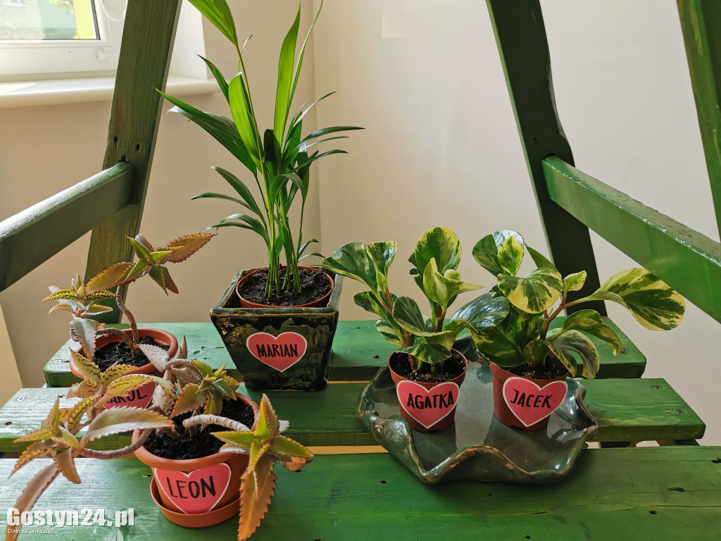 Zielona Strefa w gostyńskim Hutniku