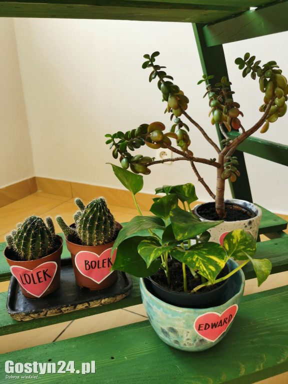 Zielona Strefa w gostyńskim Hutniku