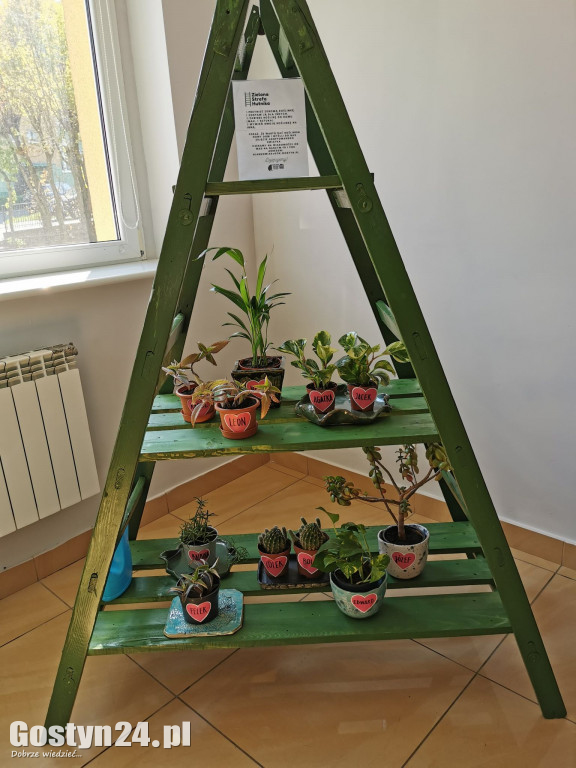 Zielona Strefa w gostyńskim Hutniku