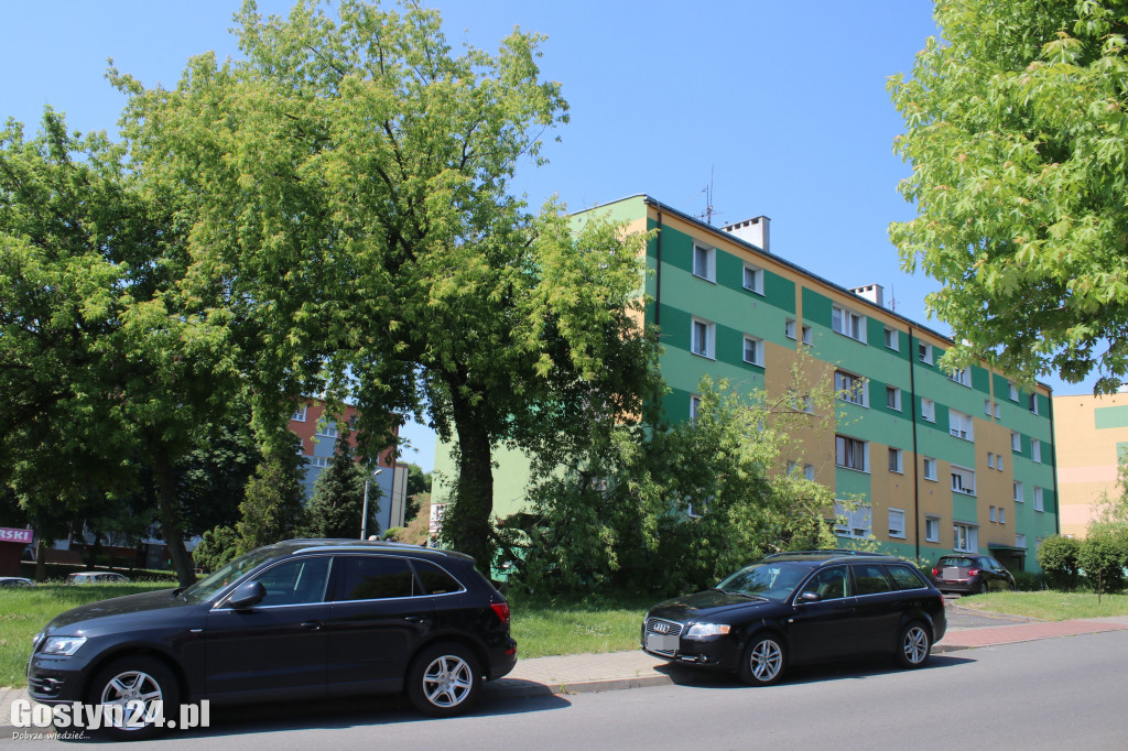 Konar drzewa runął na samochody w Gostyniu