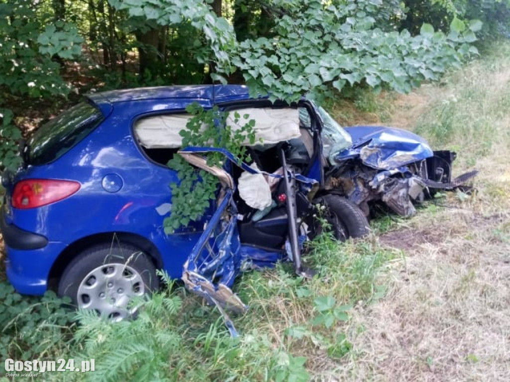 Samochód uderzył w drzewo i wpadł do rowu