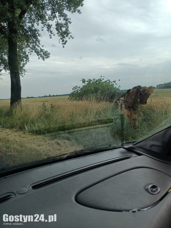 Ulewne deszcze nad powiatem gostyńskim