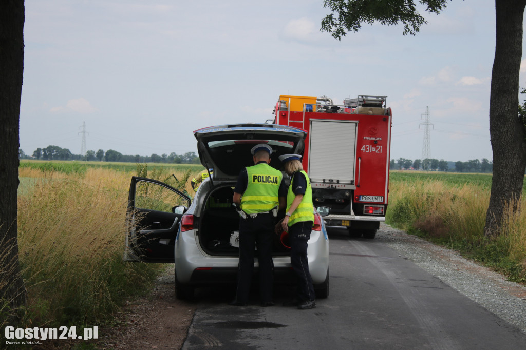 Auto wjechało do rowu w okolicach Taniecznicy