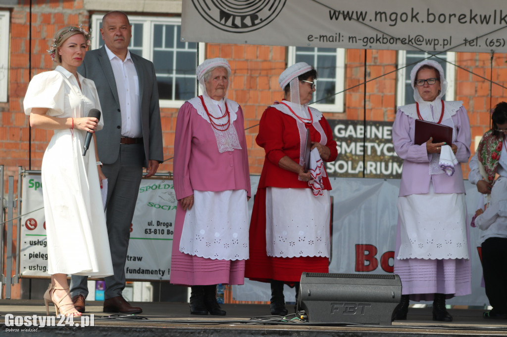 Przeglądy Zespołów Ludowych Wielkopolski w Borku Wlkp.