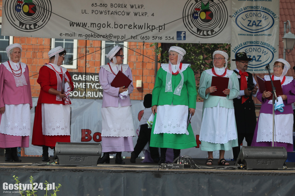 Przeglądy Zespołów Ludowych Wielkopolski w Borku Wlkp.