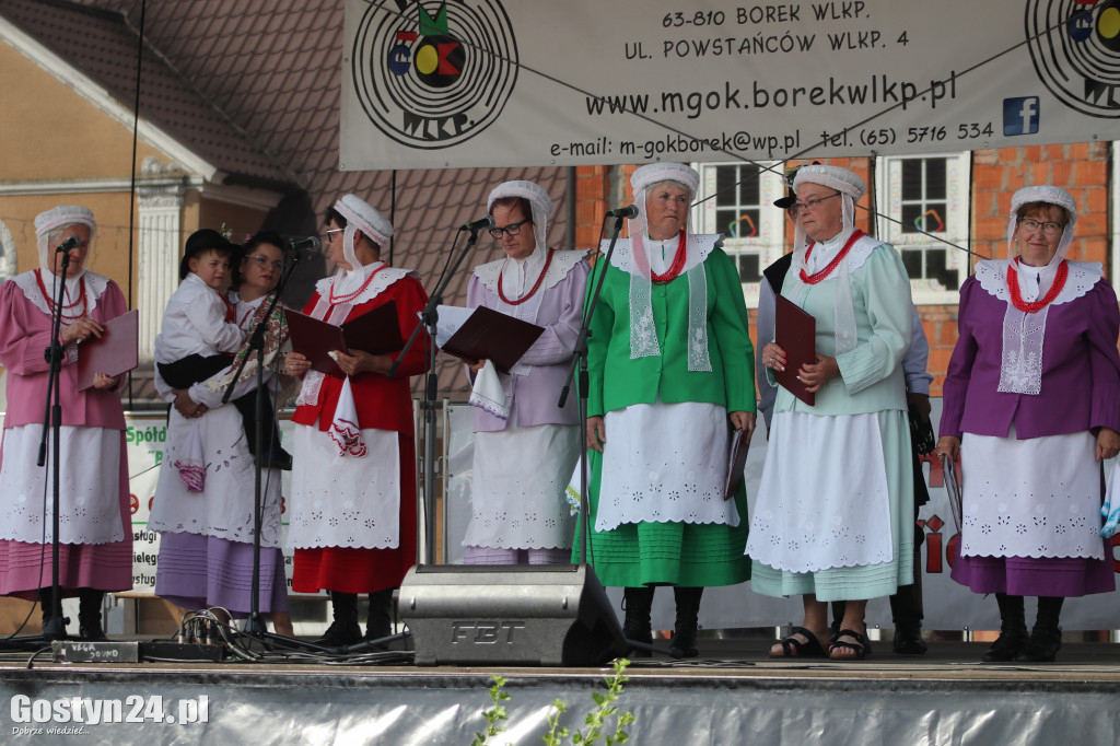 Przeglądy Zespołów Ludowych Wielkopolski w Borku Wlkp.