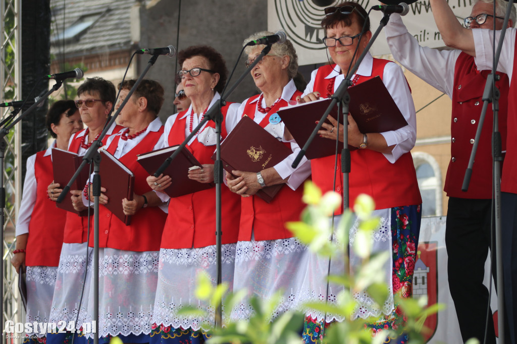 Przeglądy Zespołów Ludowych Wielkopolski w Borku Wlkp.