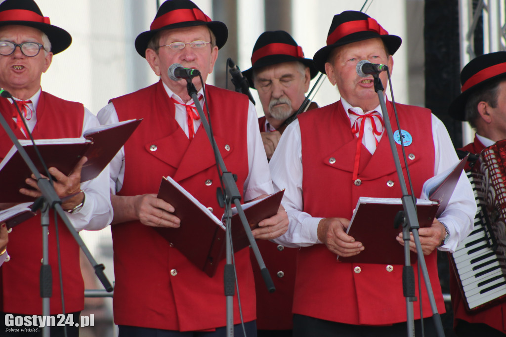 Przeglądy Zespołów Ludowych Wielkopolski w Borku Wlkp.