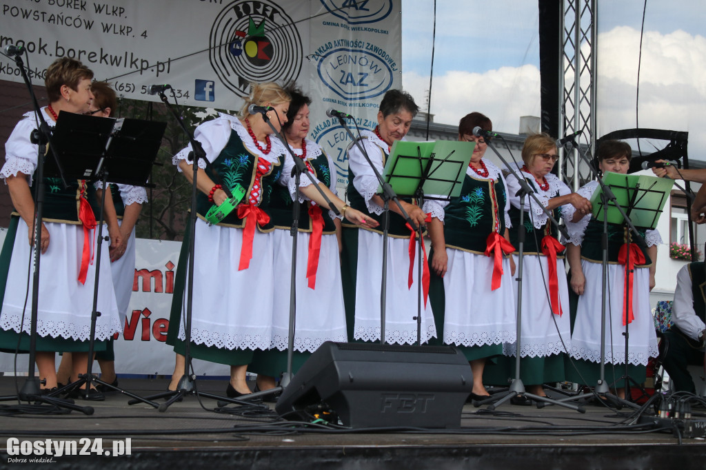 Przeglądy Zespołów Ludowych Wielkopolski w Borku Wlkp.