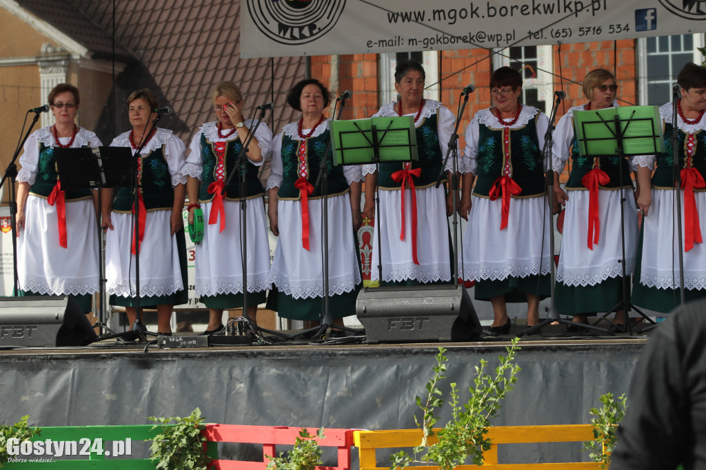 Przeglądy Zespołów Ludowych Wielkopolski w Borku Wlkp.