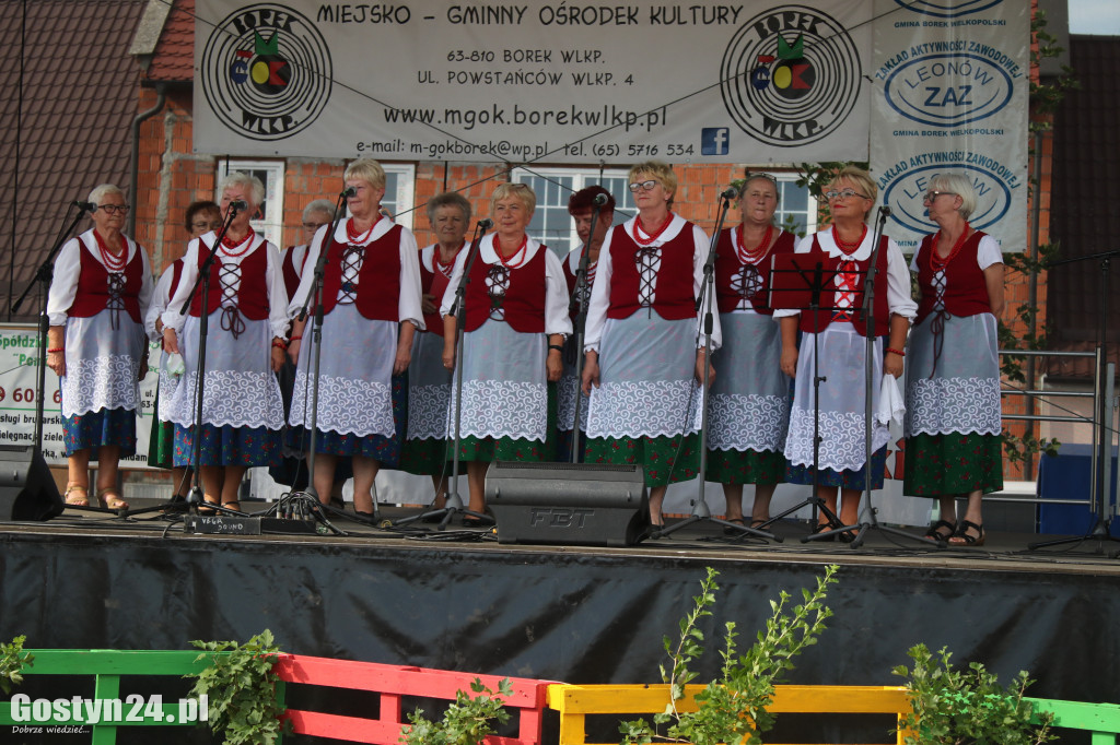 Przeglądy Zespołów Ludowych Wielkopolski w Borku Wlkp.