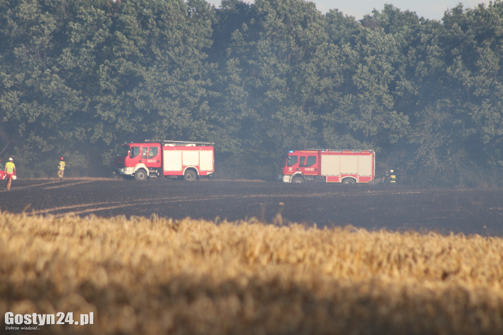 Tak wielu pożarów jednego dnia dawno nie było
