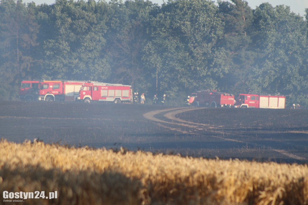 Tak wielu pożarów jednego dnia dawno nie było