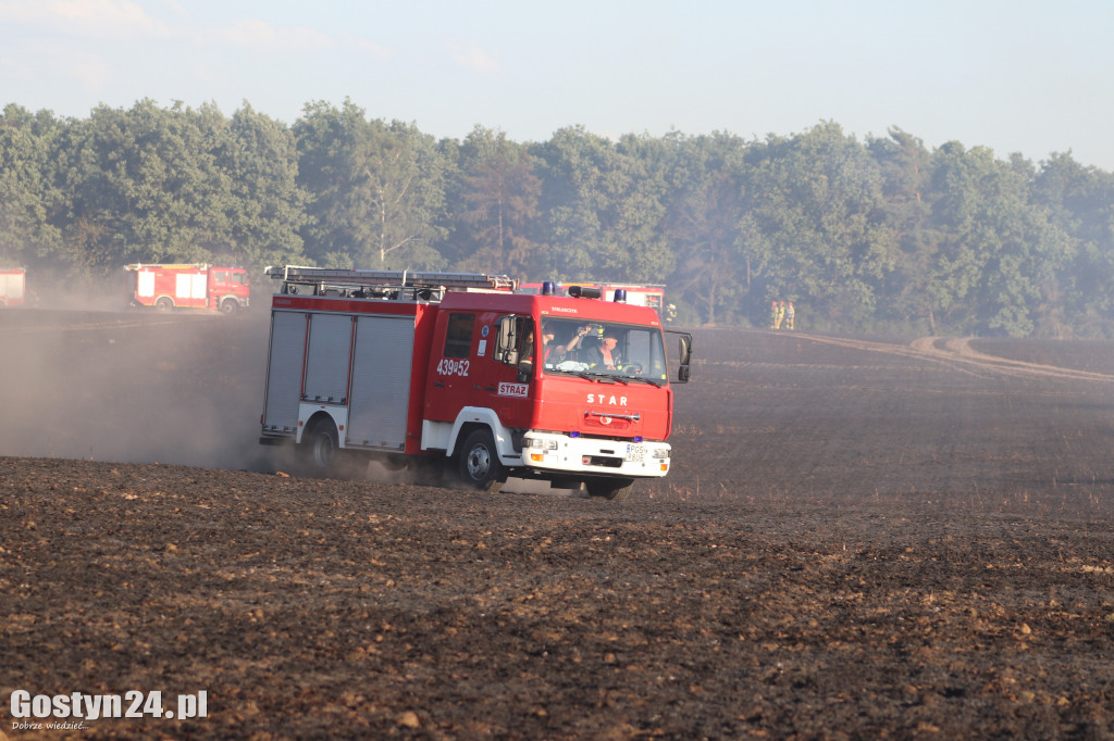 Tak wielu pożarów jednego dnia dawno nie było