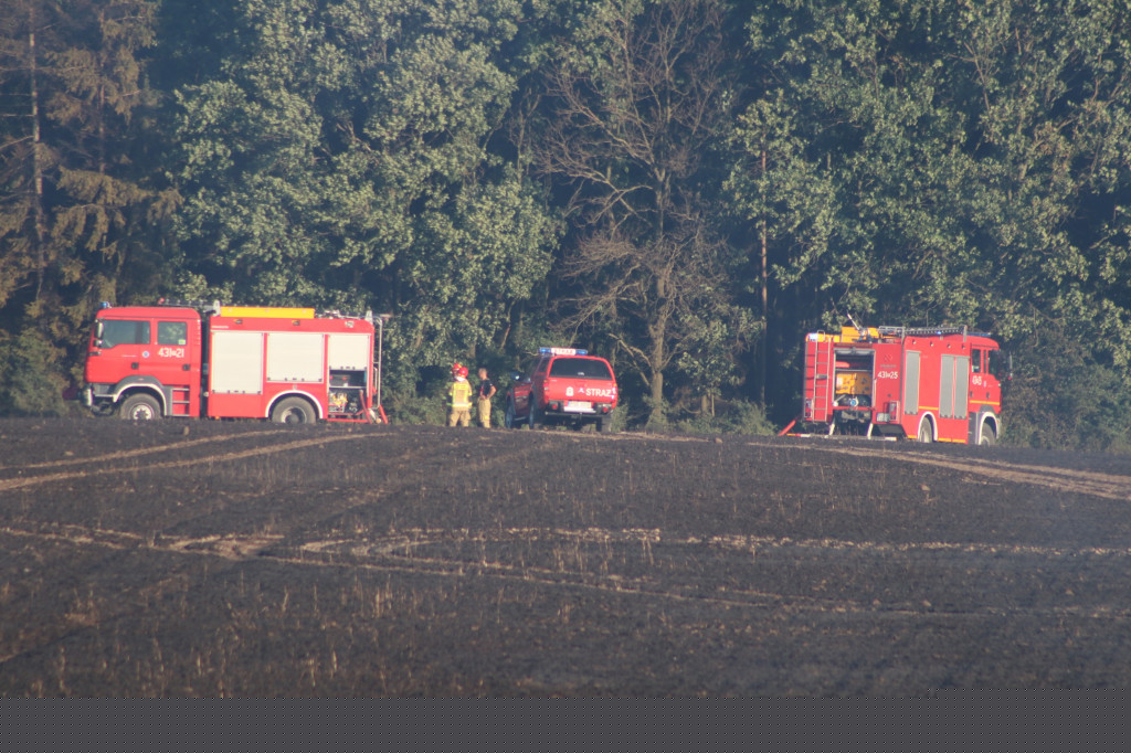 Tak wielu pożarów jednego dnia dawno nie było