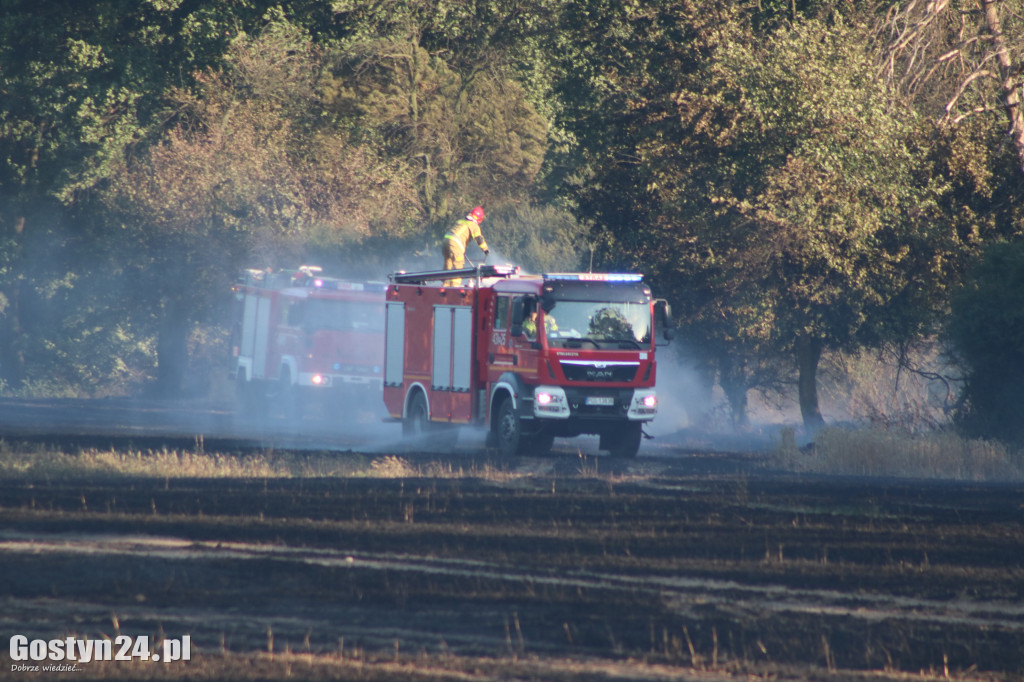 Tak wielu pożarów jednego dnia dawno nie było