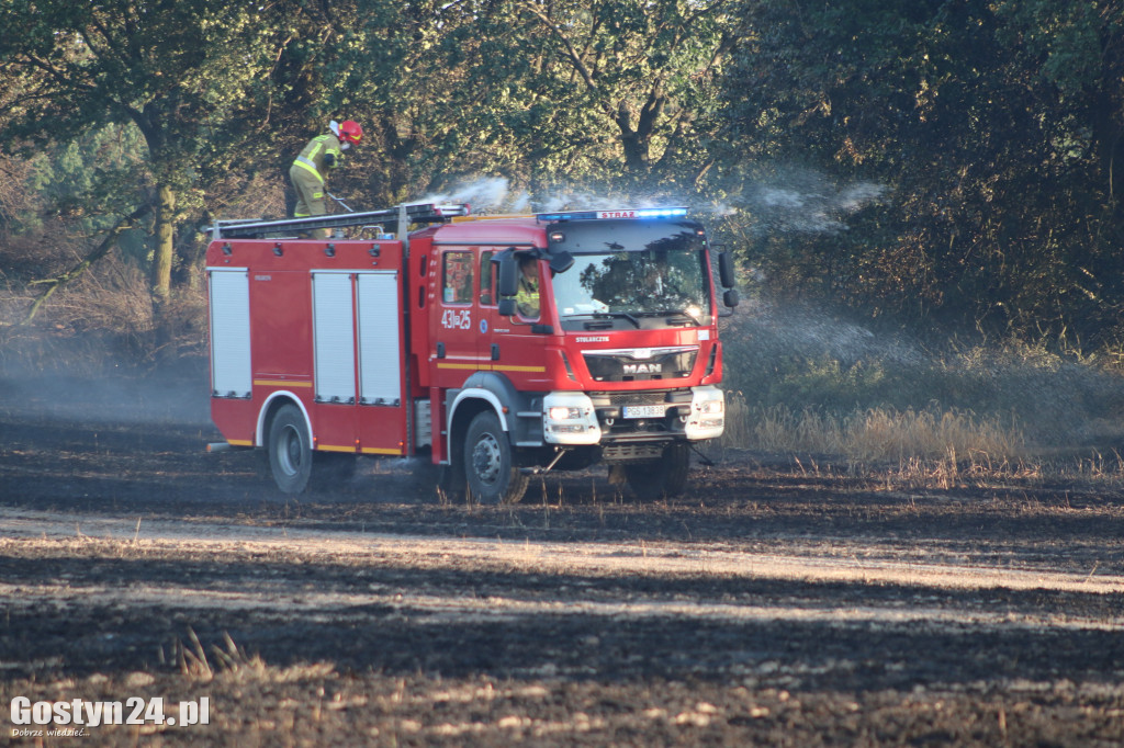 Tak wielu pożarów jednego dnia dawno nie było