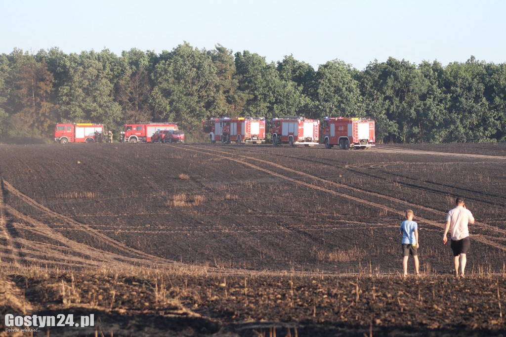 Tak wielu pożarów jednego dnia dawno nie było