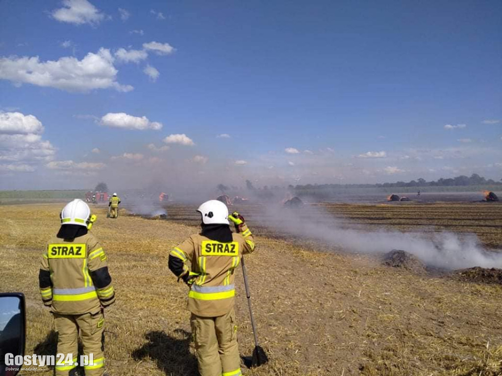 Tak wielu pożarów jednego dnia dawno nie było