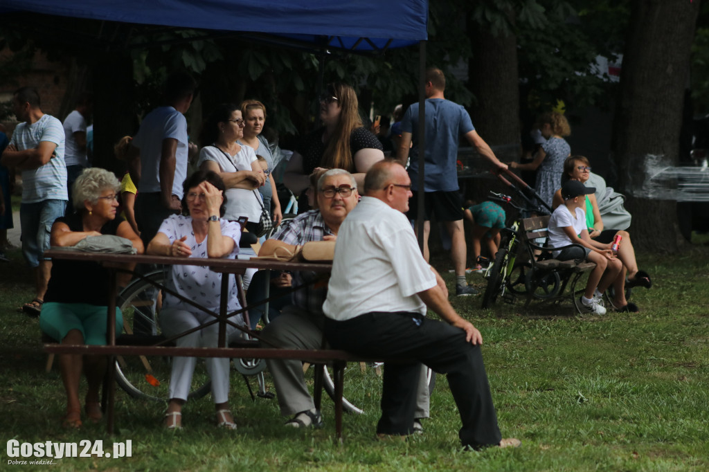 Wielki Dzień Pszczół w parku miejskim w Krobi