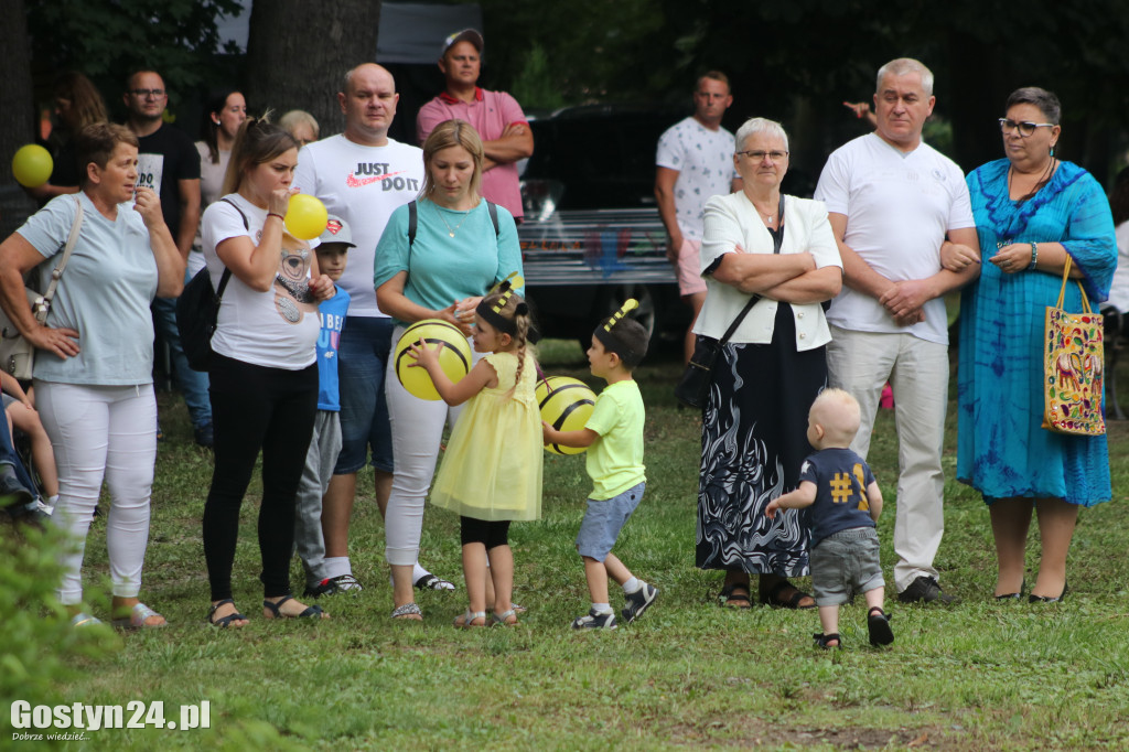 Wielki Dzień Pszczół w parku miejskim w Krobi