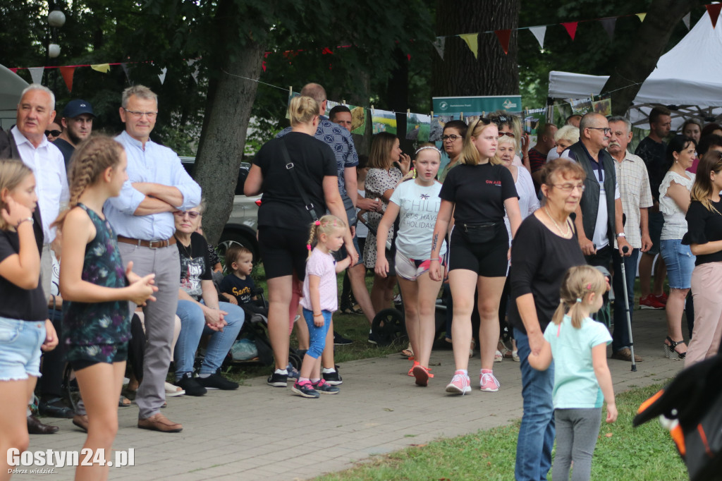 Wielki Dzień Pszczół w parku miejskim w Krobi