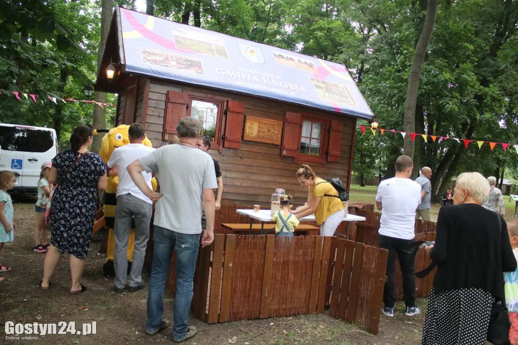Wielki Dzień Pszczół w parku miejskim w Krobi