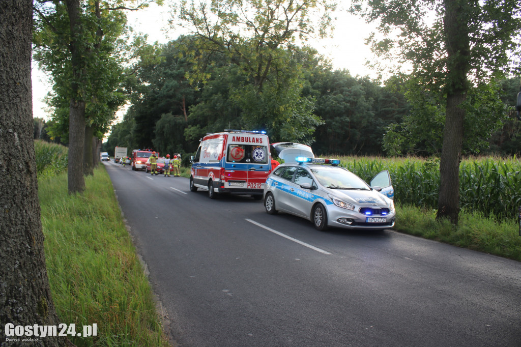 Wypadek na trasie Poniec - Drzewce