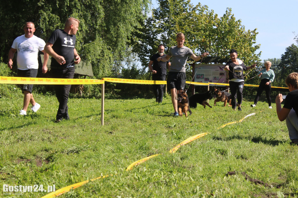 Wystawa owczarków niemieckich w Karcu