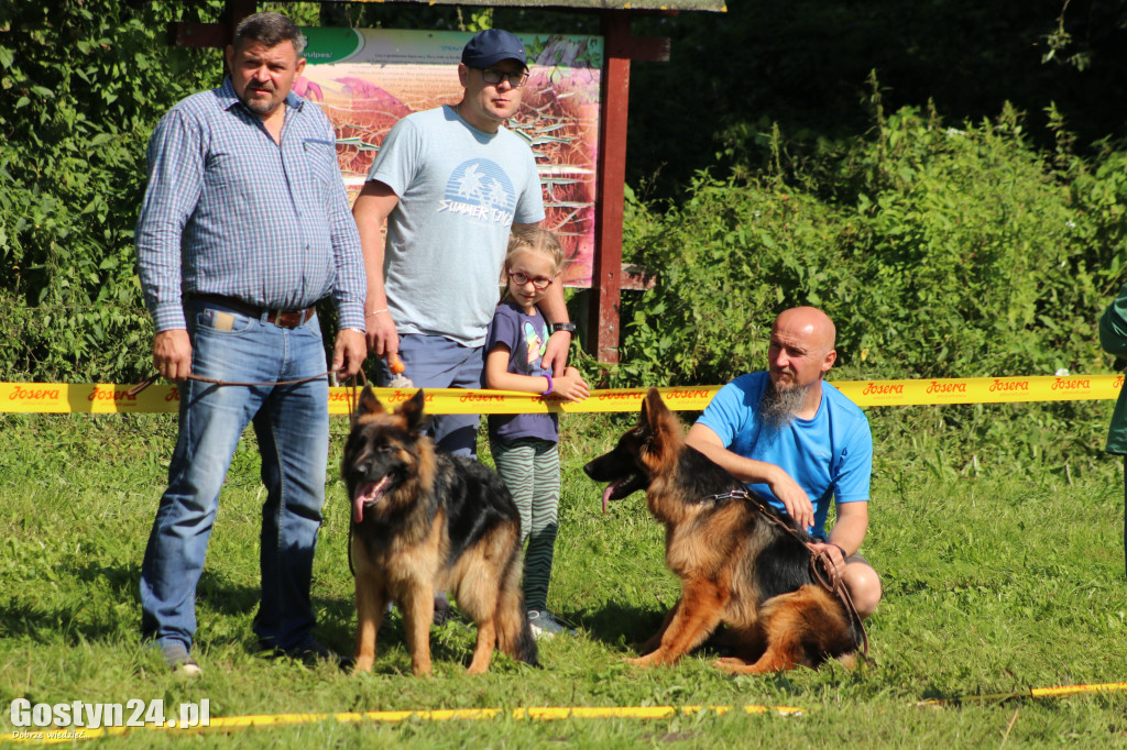 Wystawa owczarków niemieckich w Karcu