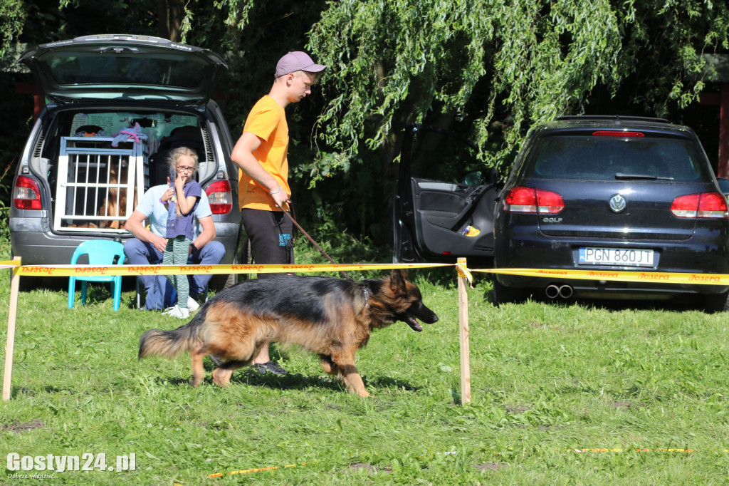 Wystawa owczarków niemieckich w Karcu