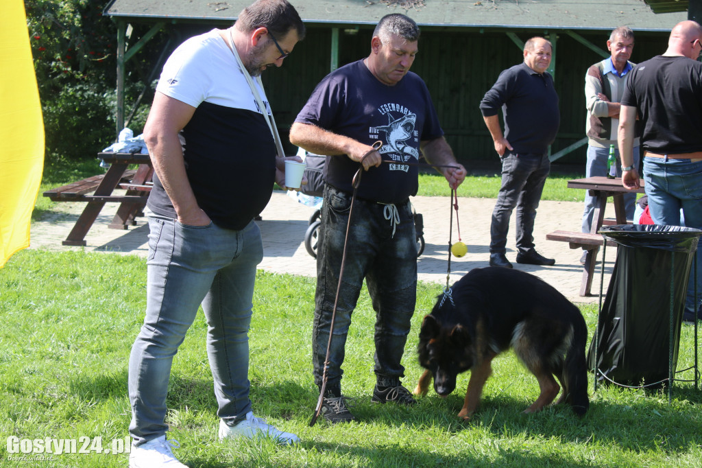 Wystawa owczarków niemieckich w Karcu
