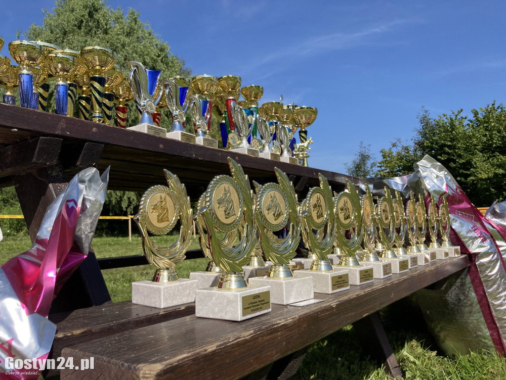 Wystawa owczarków niemieckich w Karcu