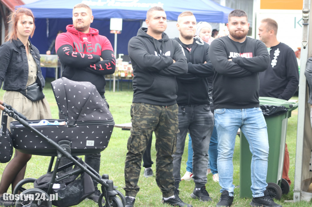 Certyfikat Sieci Najciekawszych Wsi dla Domachowa