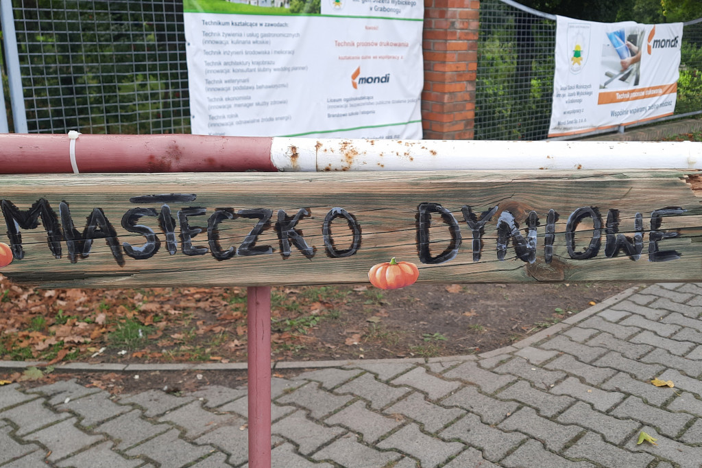 Dyniowe miasteczko w ZSR Grabonóg. Idealne na sesję zdjęciową