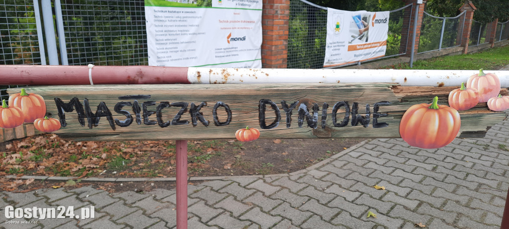 Dyniowe miasteczko w ZSR Grabonóg. Idealne na sesję zdjęciową
