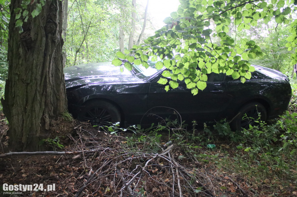 Ford w rowie i akcja policji na trasie Gola-Stary Gostyń
