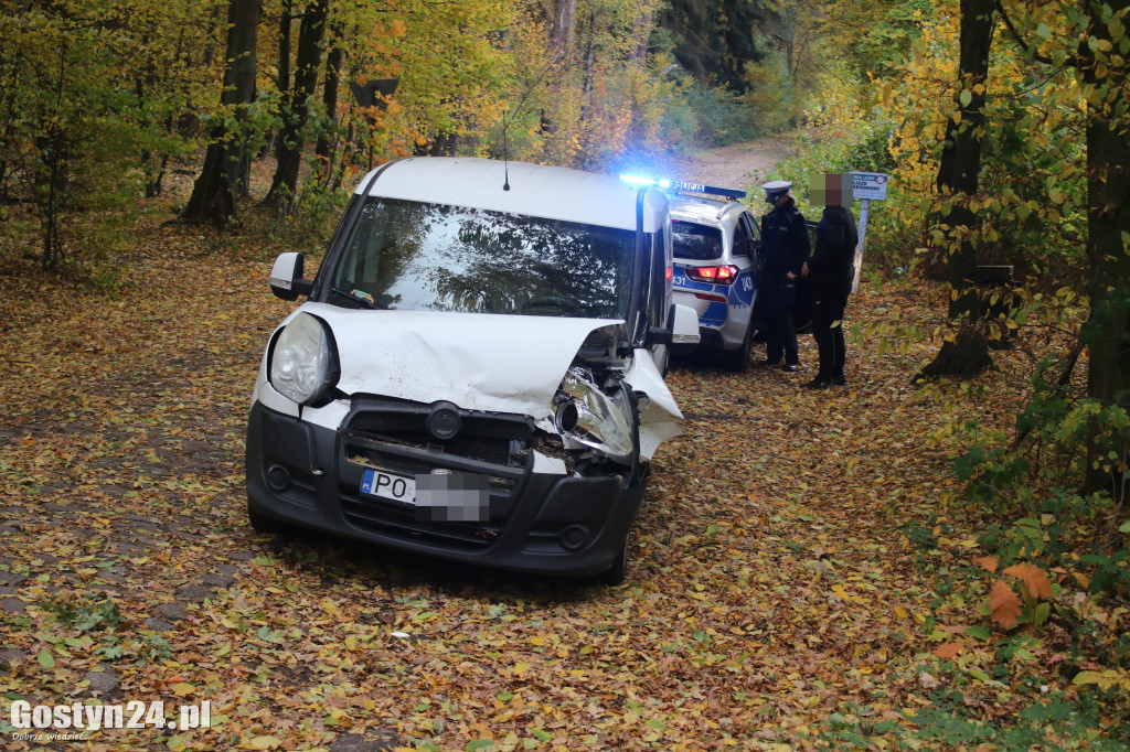 Drzewo runęło przed samochód w rejonie Siedlca