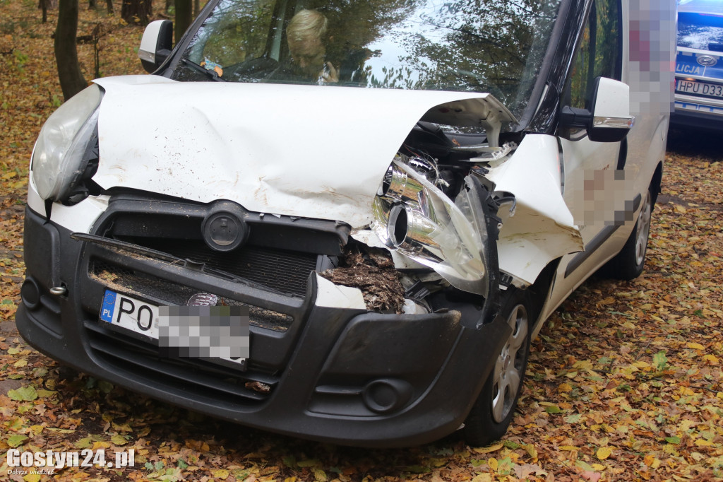 Drzewo runęło przed samochód w rejonie Siedlca