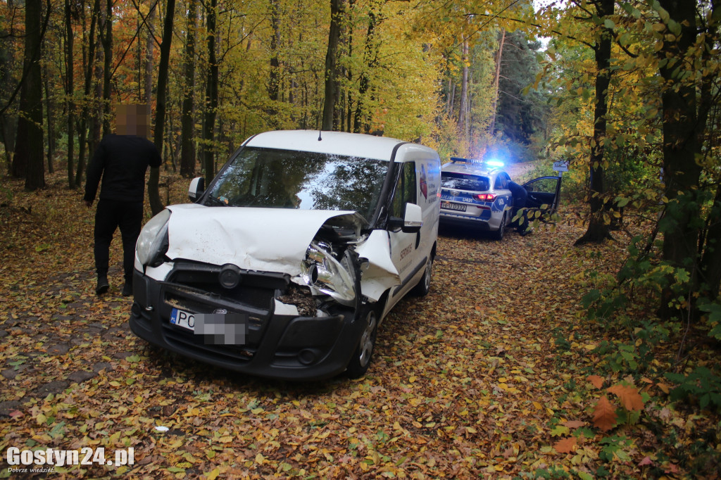 Drzewo runęło przed samochód w rejonie Siedlca