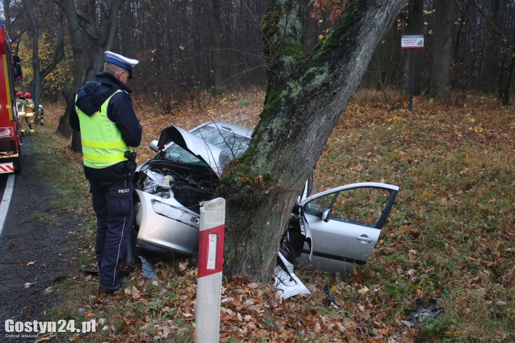Zdarzenie drogowe na trasie Koszkowo-Studzianna