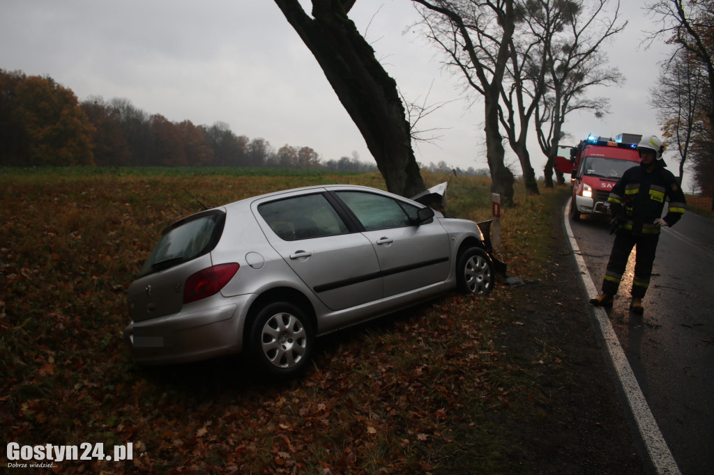 Zdarzenie drogowe na trasie Koszkowo-Studzianna