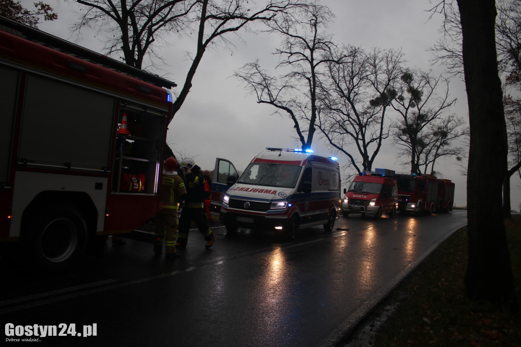Zdarzenie drogowe na trasie Koszkowo-Studzianna