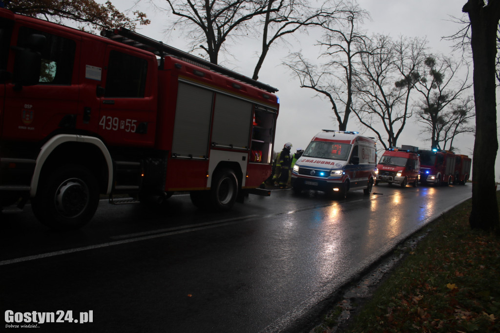 Zdarzenie drogowe na trasie Koszkowo-Studzianna