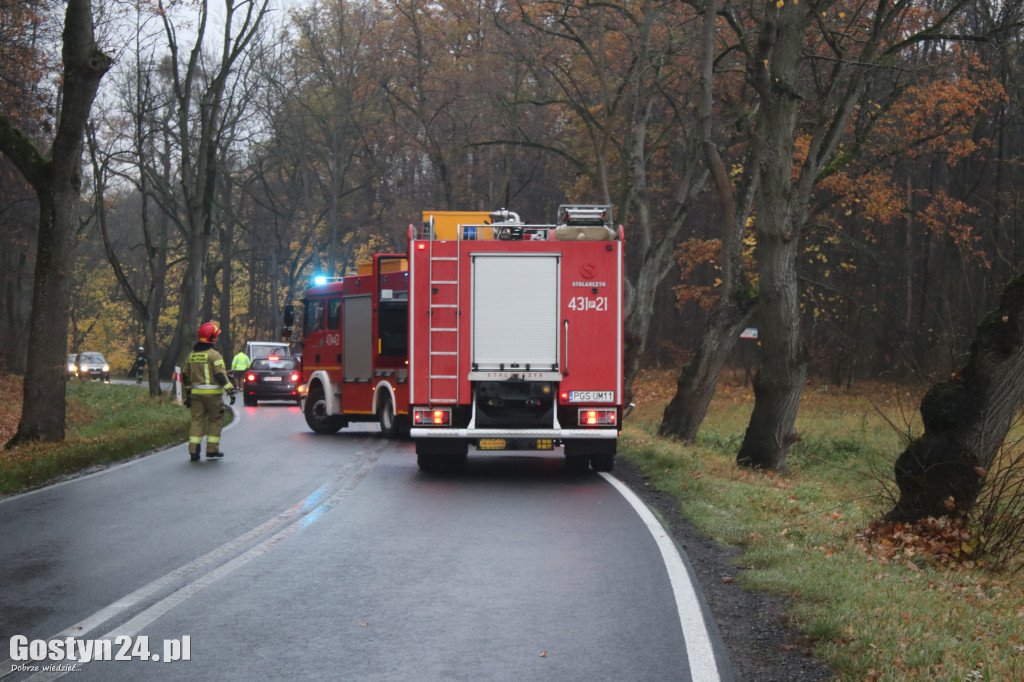 Zdarzenie drogowe na trasie Koszkowo-Studzianna